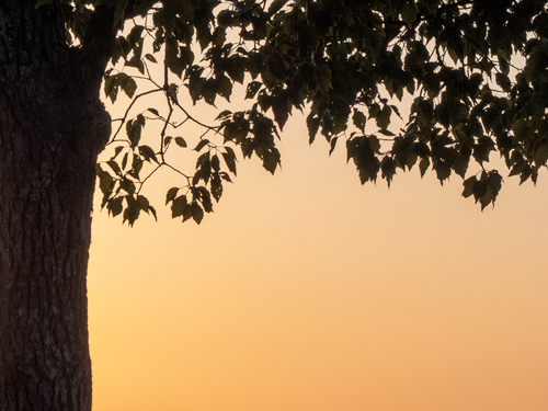 森田英一の観光Web写真のサンプル